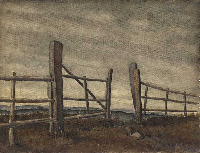 c06